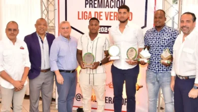 Desde la izquierda, Eliu Reyes, Juan Núñez, Guarocuya Cabral, Francisco Fajardo, Jean Luis García, Luis Peña y Alberto Rodríguez en la premiación de la Liga de Béisbol de Verano.