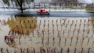 Un bombero regresa a su camioneta en medio de viñedos inundados el viernes 22 de noviembre de 2022, mientras continúan las intensas lluvias en Windsor, California. (AP Foto/Noah Berger)