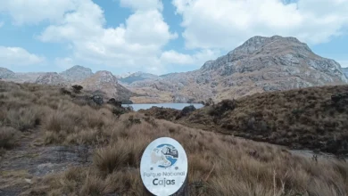 Fotografía de la laguna La Toreadora en el Parque Nacional Cajas, en Cuenca (Ecuador). EFE/Carlos Durán Araújo