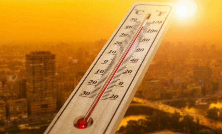 Polvo del Sahara. Calor